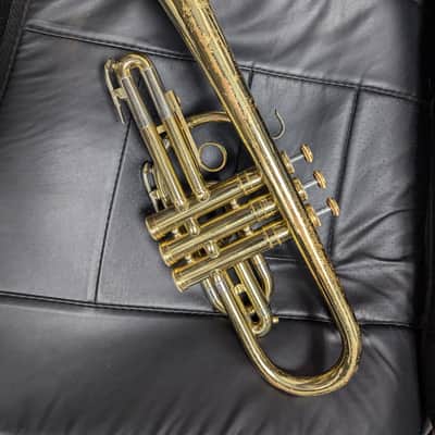 Holton Collegiate Cornet sn 454253 image 8