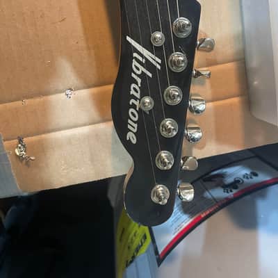 Vibratone Tele owned by Luther Dickinson image 7