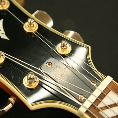 Aria Pro II FA-70 Jazz Hollowbody Archtop in 3 Color Sunburst image 23
