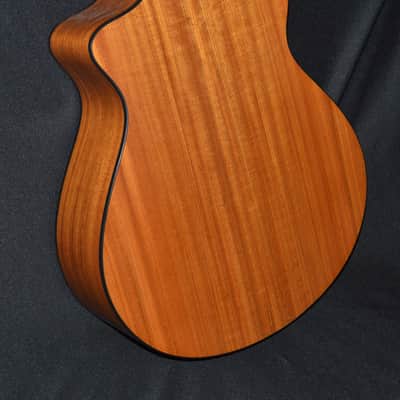 Breedlove Passport N250/C0e ~2014 Natural image 3