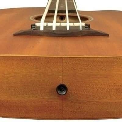 Gold Tone M-BASS Micro Bass 36" Electric Acoustic Bass Guitar with Gig Bag image 4