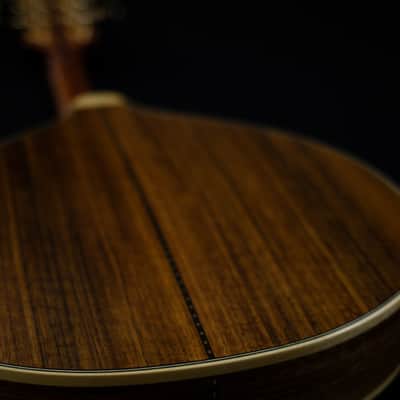 Pedro Santos 8-String Mandolin | Brazil Bild 6
