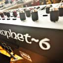 Sequential Prophet-6 49-Key 6-Voice Polyphonic Synthesizer - Black with Wood Sides