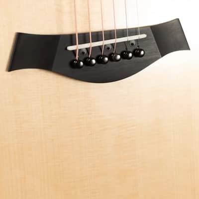 Taylor Catch Event Custom C16ce B4025 Grand Symphony Honduran Rosewood/Lutz Spruce Grand Symphony Acoustic/Electric Guitar with Hardshell Case image 16