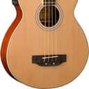 Washburn AB5K Acoustic Bass Guitar w/ Spruce Top & Mahogany Back & Sides; Free Shipping & Case
