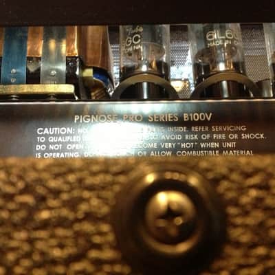 Pignose B100V 1x12 100w Tube Bass Amp image 4
