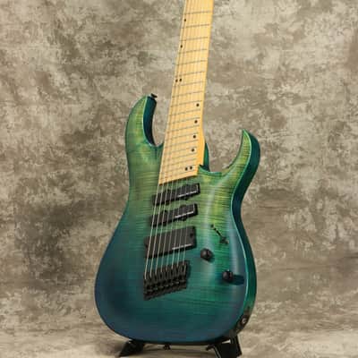 Inyen Vina Guitars 8弦 Inyenvina IYV 8 strings Guitar - Shipping Included* | Reverb