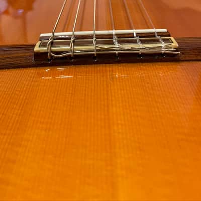 1996 Manuel Rodriguez FF Flamenco Classical Guitar image 12