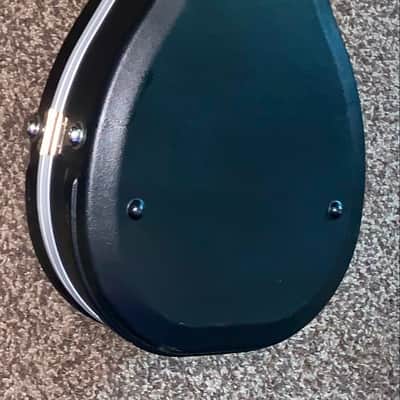 Roadrunner abs Molded Mandolin Case image 4