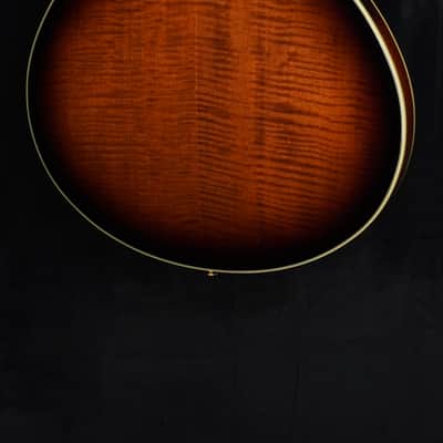 Ibanez John Scofield Signature JSM100 in Vintage Sunburst image 7