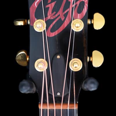Taylor Cujo-10 Dreadnought No. 71 of 125 from 1997 in Natural with original Hardcase image 9