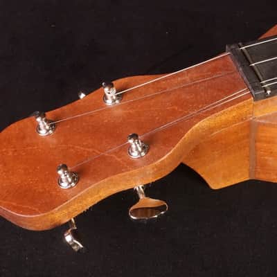 James Jones Chromatic Appalachian Dulcimer  #10 image 5