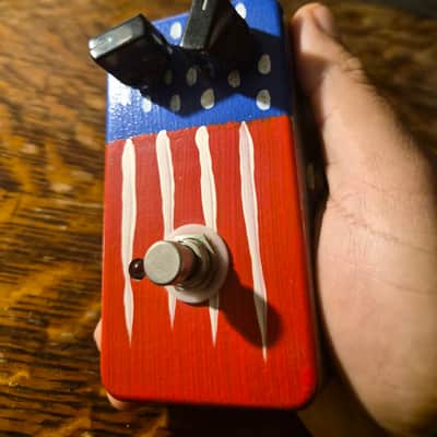 Devi Ever : FX US Fuzz 2008 - Stars and Stripes image 1