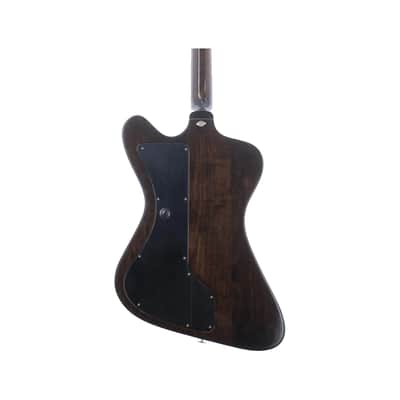 Gibson Firebird II Artist image 5