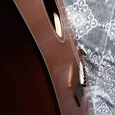 Breedlove Revival USA Custom Shop hog top Dread image 8