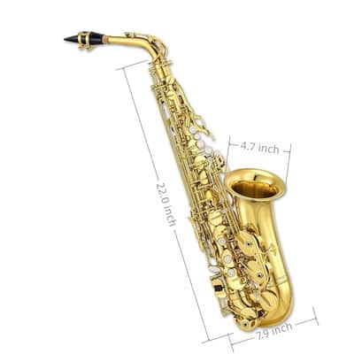 Alto Saxophone Beginner Kit – Brass Body, Smooth Tone, Full Accessory Set, Includes Case, Mouthpiece & Reeds – Ideal for Students and Adults image 3