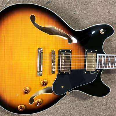 Washburn HB35 Semi-Hollowbody Electric Guitar, Maple Top, Back, Sides, Neck, Case, Blues/Jazz image 1