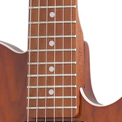 Schecter PT Van Nuys - Gloss Natural Ash (700) image 4