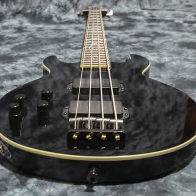 Schecter Scorpion Tribal Bass Left Handed with Darkglass Tone Capsule preamp and Bartolini Pickups image 11