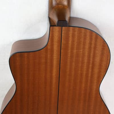 NEW Cathedral Model 107CEL SP 7-String Classical Harp Guitar w/Spruce Top, Pickup, Cutaway, Sound Port, w/SoftCase image 14