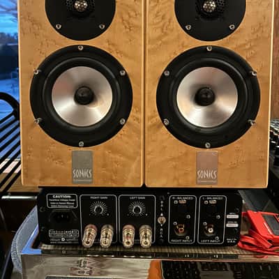 Sonics Anima by Joachim Gerhard with Class D Amp image 1