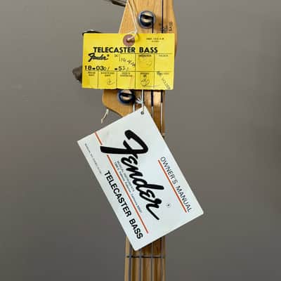 1973 Fender Telecaster Bass - All Original - Natural Ash Finish image 2