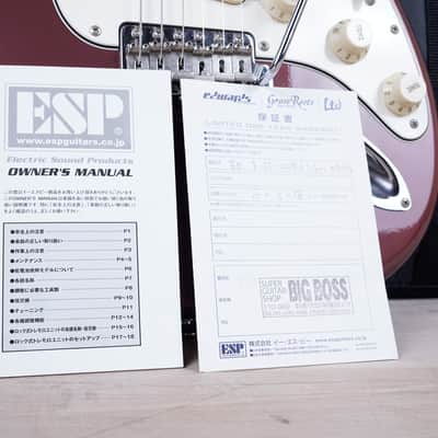 Edwards E-SE-100R/LT MIJ 2013 Burgundy Mist Lacquer Touch Finish ESP Japan w/ Bag image 2