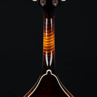 Collings MT2 O Adirondack Spruce and Flamed Maple 1-Piece Back Sunburst Mandolin NEW image 21