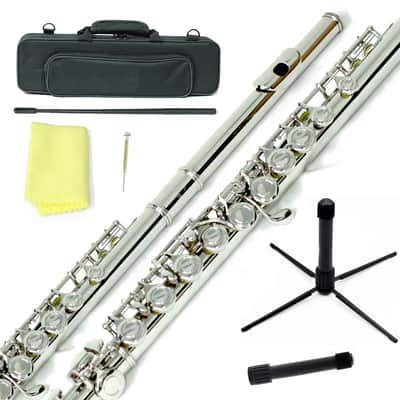 Nickel Plated Close Hole C Flute w Case, Stand, Cleaning Rod, Cloth and More image 2