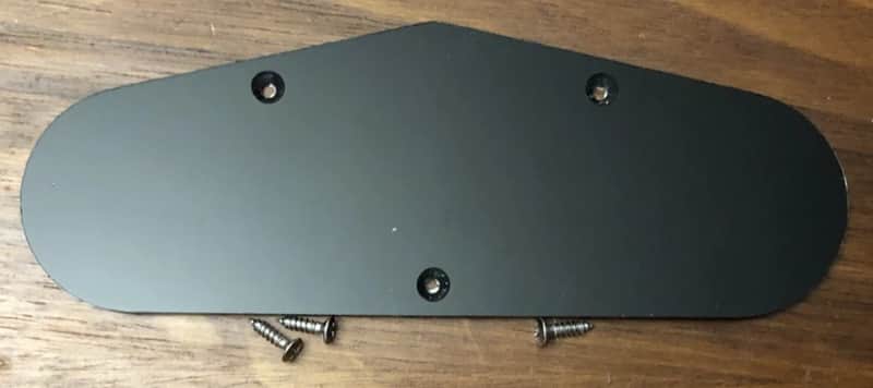 Share 2021 Epiphone Les Paul Special II Control Cavity Cover With Screws image 1