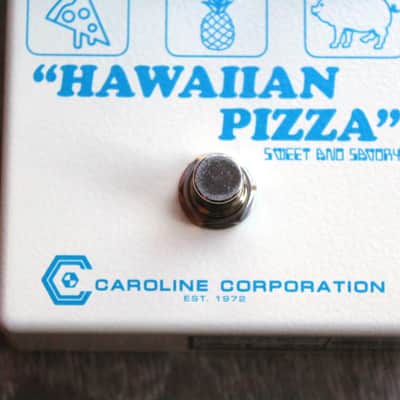 CAROLINE  "Hawaiian Pizza Fuzz" image 3