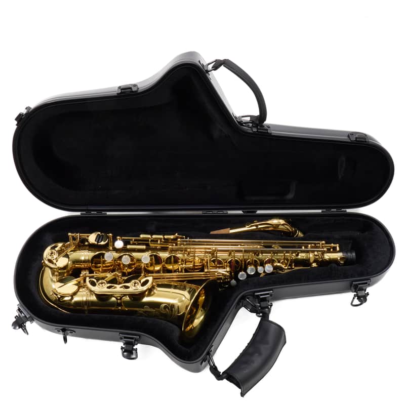Eastman Model EAS650 'Rue Saint-Georges' Alto Saxophone SN A2340167 image 1