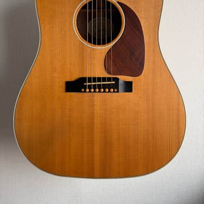 Gibson J-45 Sustainable 2019 image 2