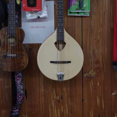 GOLD TONE Mandola 8-string viola style tuning MANDOLIN w/ BAG - Solid Top - B stock image 1