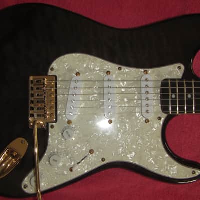 Arbor Strat style guitar 2000's? - Charcoal quilt w/Padded gig bag. image 4