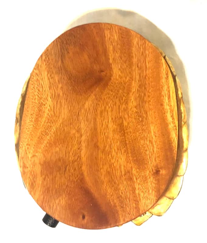 Electric turtle shell space drum | Reverb