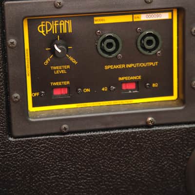 Epifani DIST 110 1x10" Bass Speaker Cabinet Pre-Owned image 6