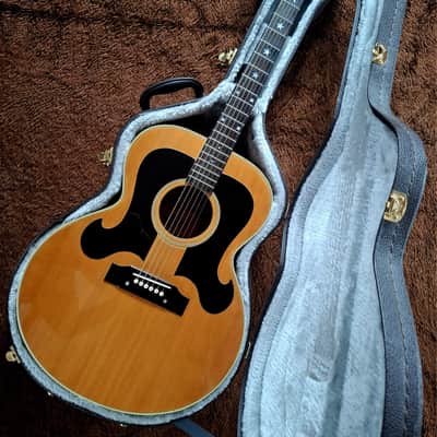 Stunning Vintage 1970s Morris WJ-25 J-180 Everly Brothers Model