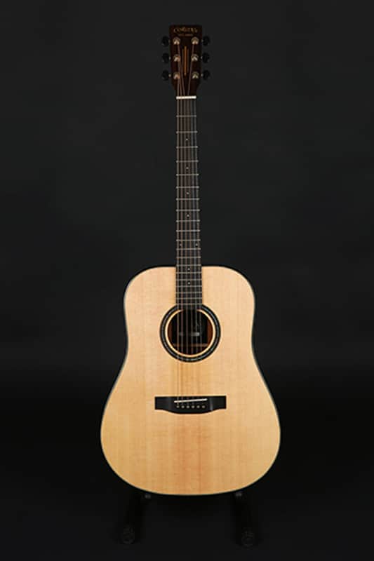 Corona IDEA DM-1000 All Solid Wood Sustain Block Dreadnought Acoustic Guitar image 1