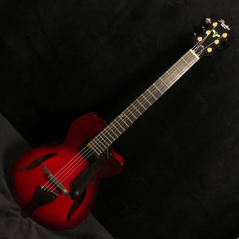 Peerless Serena Archtop Electric Hollowbody Guitar #3018110 w case image 1