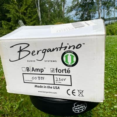 Bergantino Forté D image 6