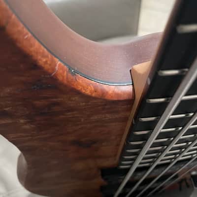 Swan Alpha Special Fanned Fret 2022 image 6