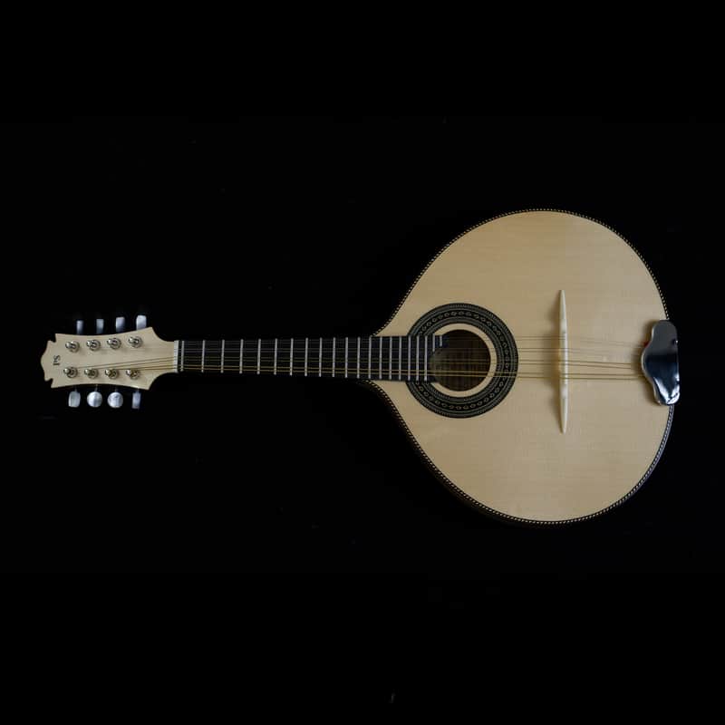 Pedro Santos 8-String Mandolin | Brazil 2024 image 1