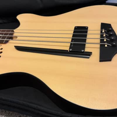 Godin A4 Ultra Fretted Bass - Semi Acoustic/Electric with Synth Access image 3