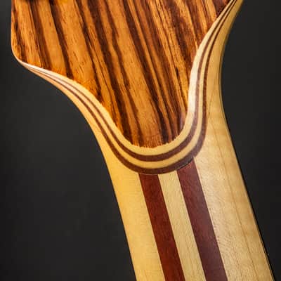 Alembic Series 1 Bass 1978 Natural image 6