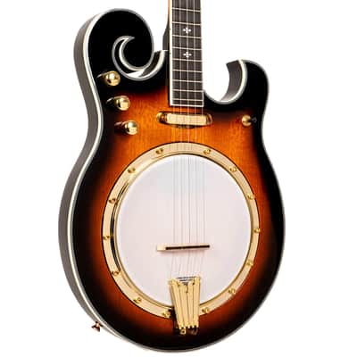 Gold Tone EBM-5 Solid Body Maple Top & Neck F-Style 5-String Electric Banjo image 3
