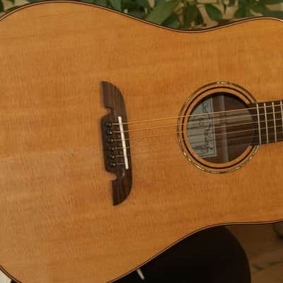 Alvarez MD60 Masterworks A60 series dreadnought image 1