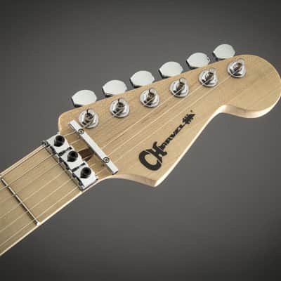 Charvel Warren DeMartini Signature Blood and Skulls image 4