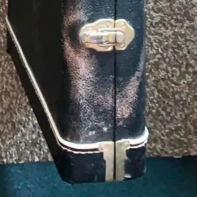 Vintage Spector electric bass guitar Hardshell case only image 7