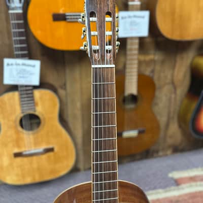 Cordoba C5-SB Classical 2010s - Sunburst image 5